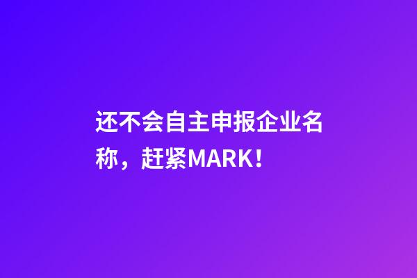 还不会自主申报企业名称，赶紧MARK！-第1张-公司起名-玄机派