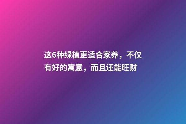 这6种绿植更适合家养，不仅有好的寓意，而且还能旺财