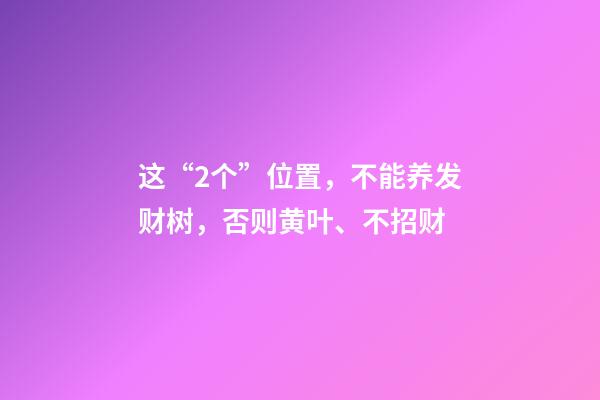 这“2个”位置，不能养发财树，否则黄叶、不招财