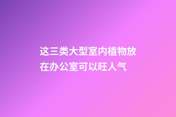 这三类大型室内植物放在办公室可以旺人气
