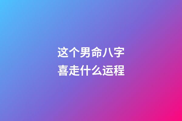 这个男命八字喜走什么运程