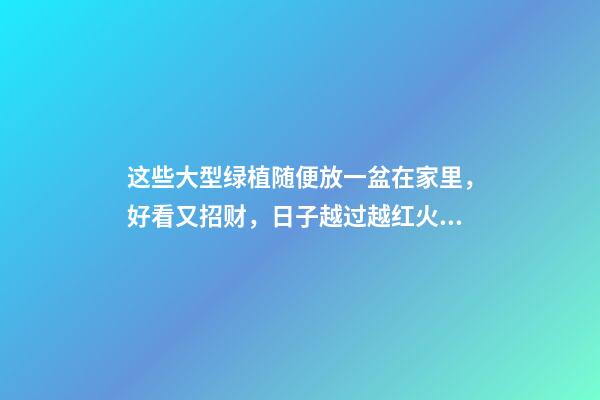 这些大型绿植随便放一盆在家里，好看又招财，日子越过越红火！