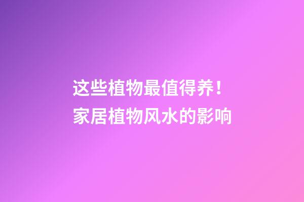 这些植物最值得养！家居植物风水的影响