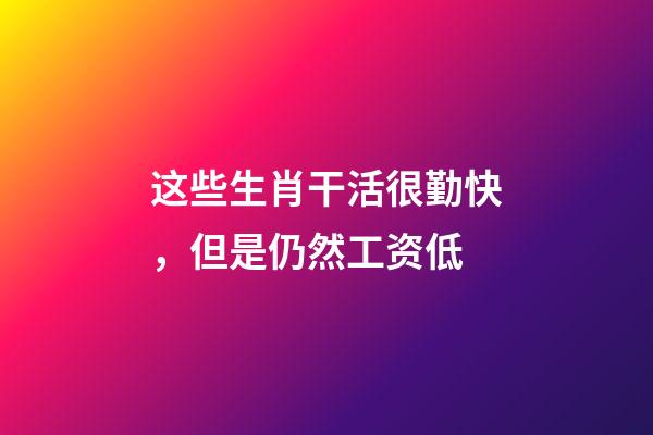 这些生肖干活很勤快，但是仍然工资低