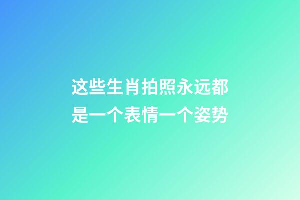这些生肖拍照永远都是一个表情一个姿势