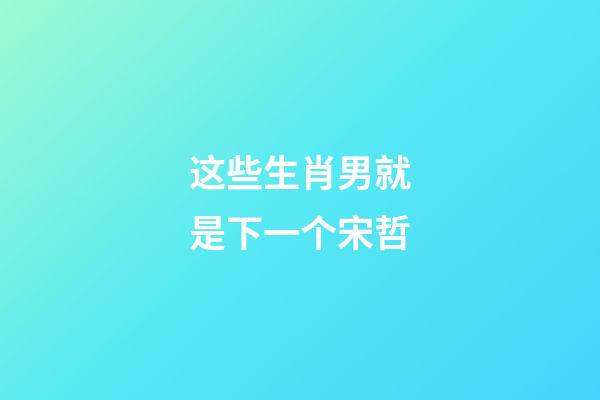 这些生肖男就是下一个宋哲