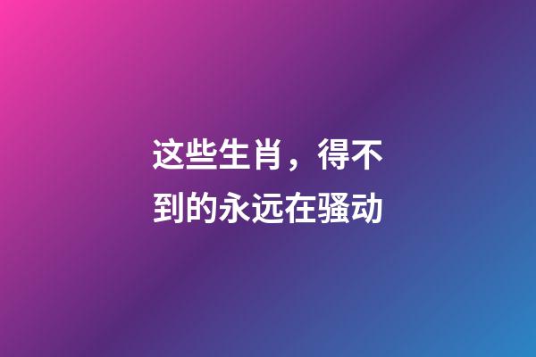 这些生肖，得不到的永远在骚动