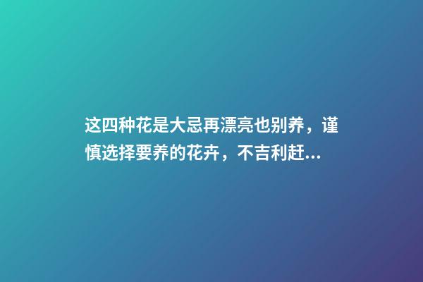 这四种花是大忌再漂亮也别养，谨慎选择要养的花卉，不吉利赶紧扔