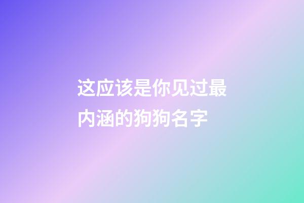 这应该是你见过最内涵的狗狗名字