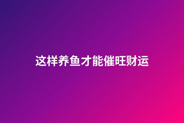 这样养鱼才能催旺财运