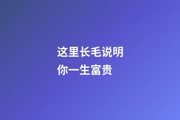 这里长毛说明你一生富贵