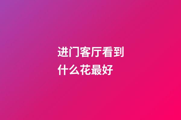 进门客厅看到什么花最好