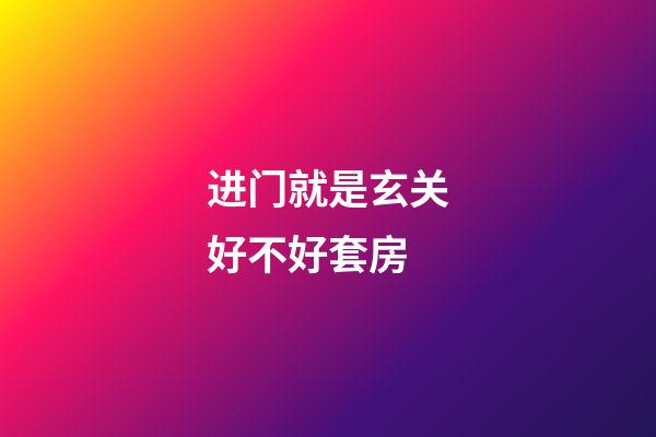 进门就是玄关好不好套房