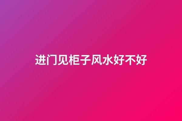 进门见柜子风水好不好