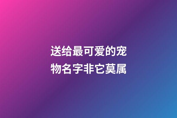 送给最可爱的宠物名字非它莫属