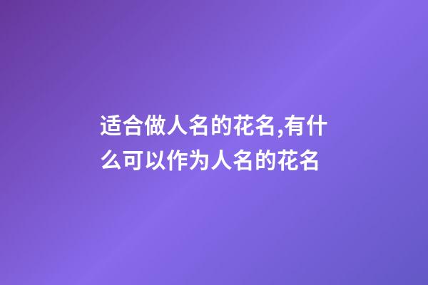 适合做人名的花名,有什么可以作为人名的花名