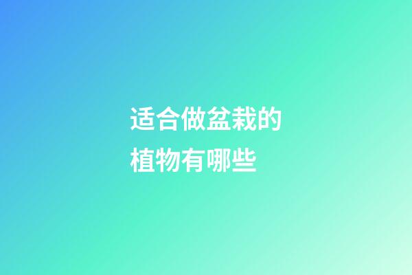 适合做盆栽的植物有哪些