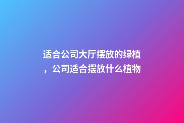 适合公司大厅摆放的绿植，公司适合摆放什么植物