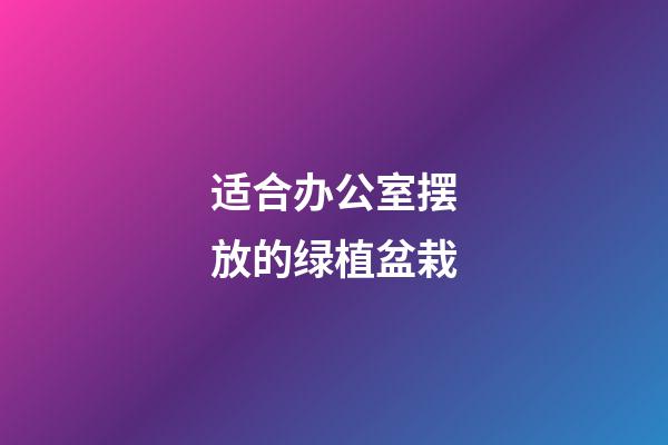 适合办公室摆放的绿植盆栽