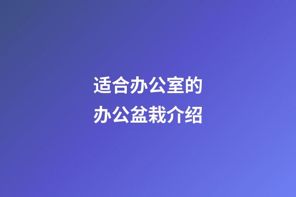 适合办公室的办公盆栽介绍