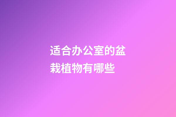 适合办公室的盆栽植物有哪些