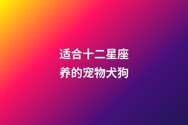 适合十二星座养的宠物犬狗-第1张-星座运势-玄机派