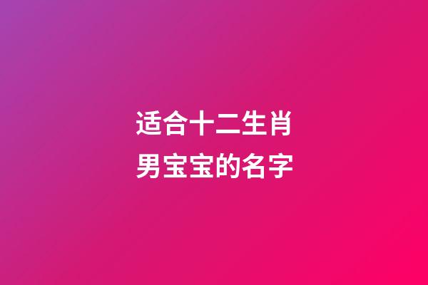 适合十二生肖男宝宝的名字