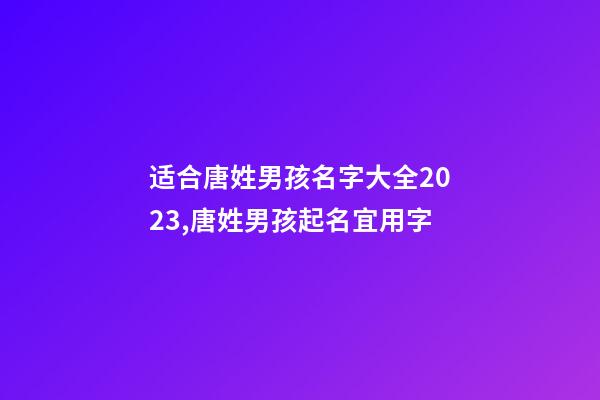 适合唐姓男孩名字大全2023,唐姓男孩起名宜用字