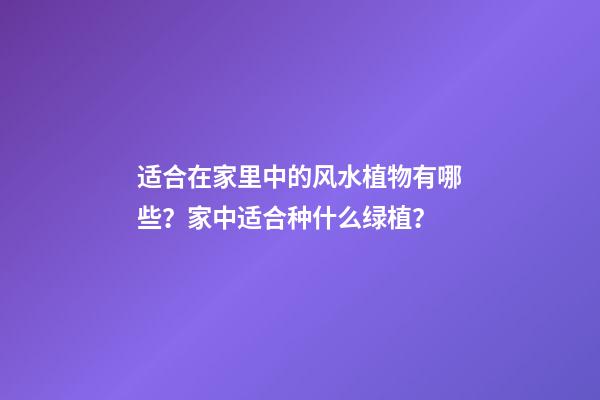 适合在家里中的风水植物有哪些？家中适合种什么绿植？