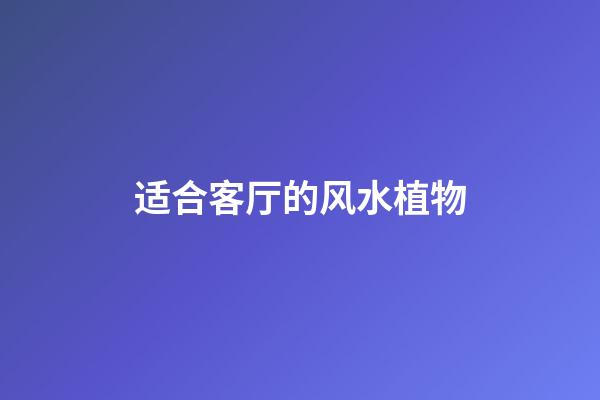 适合客厅的风水植物