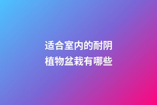 适合室内的耐阴植物盆栽有哪些
