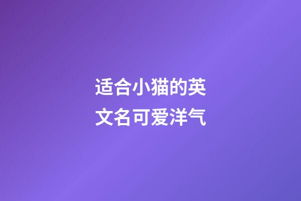 适合小猫的英文名可爱洋气
