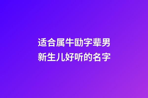 适合属牛劻字辈男新生儿好听的名字