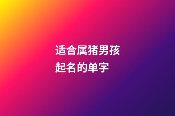 适合属猪男孩起名的单字