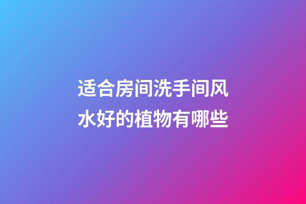适合房间洗手间风水好的植物有哪些