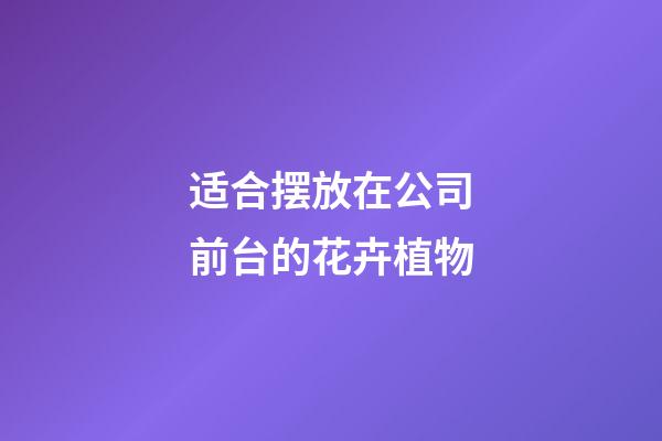 适合摆放在公司前台的花卉植物