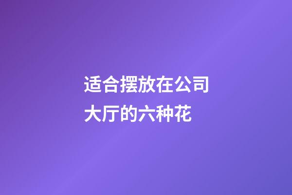 适合摆放在公司大厅的六种花