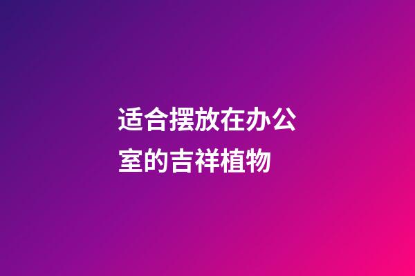 适合摆放在办公室的吉祥植物
