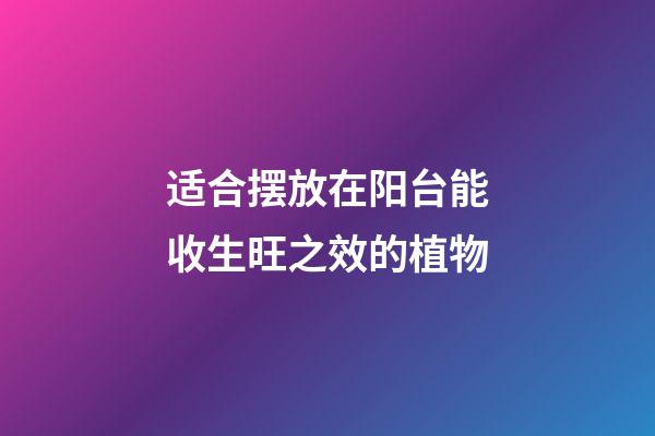 适合摆放在阳台能收生旺之效的植物
