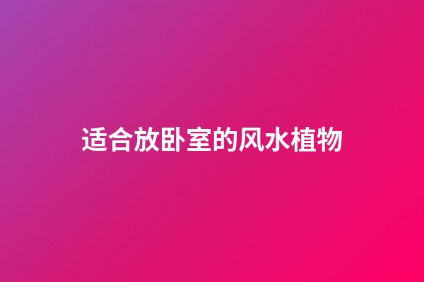 适合放卧室的风水植物