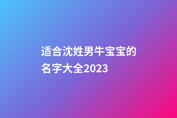 适合沈姓男牛宝宝的名字大全2023