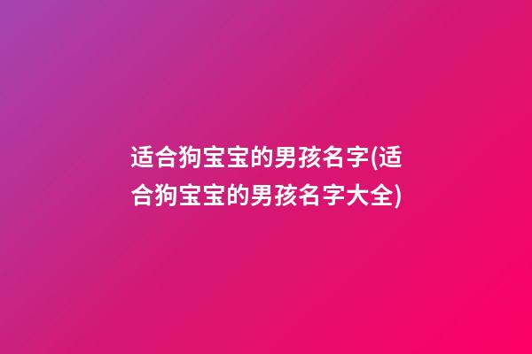 适合狗宝宝的男孩名字(适合狗宝宝的男孩名字大全)