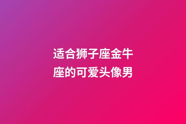 适合狮子座金牛座的可爱头像男-第1张-星座运势-玄机派