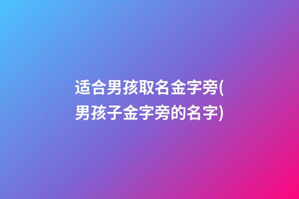 适合男孩取名金字旁(男孩子金字旁的名字)