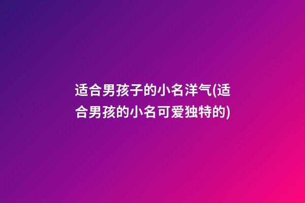 适合男孩子的小名洋气(适合男孩的小名可爱独特的)