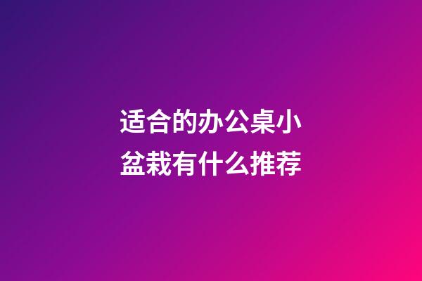 适合的办公桌小盆栽有什么推荐
