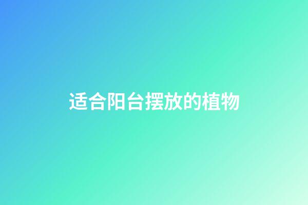 适合阳台摆放的植物