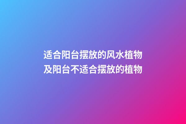 适合阳台摆放的风水植物及阳台不适合摆放的植物