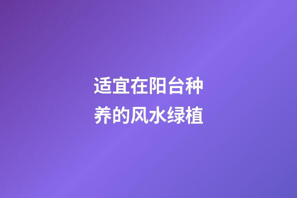 适宜在阳台种养的风水绿植