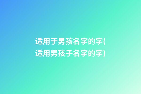 适用于男孩名字的字(适用男孩子名字的字)